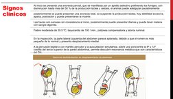 Signos 
clínicos
Al inicio se presenta una anorexia parcial, que se manifiesta por un apetito selectivo prefiriendo los forra