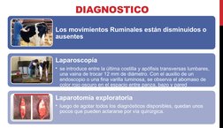 Los movimientos Ruminales están disminuidos o 
ausentes
Laparoscopía
• se introduce entre la última costilla y apófisis trans