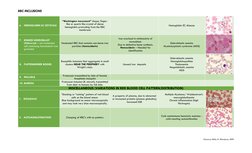 Red Blood Cell Inclusions Chart.pdf Hemoglobin SC Crystals in RBC Inclusions | PDF | Red Blood Cell | Anemia