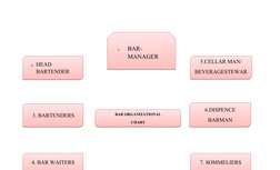 Bar Organizational Structure and Roles | PDF | Bar (Establishment ...