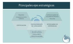 Requisitos
Competencia de los 
auditores
Mercados globales
Futuros líderes
Cultura de inocuidad
Conferencia global de 
inocui