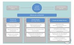 Comité 
directivo 
de la GFSI
Proceso de 
comparación
Grupos locales
China, Japón, México
Grupos de trabajo técnico
Oficina d