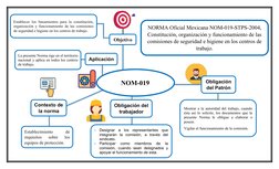 Establecimiento
 
de
requisitos  sobre  los
equipos de protección.
Aplicación
Establecer los lineamientos para la constitució