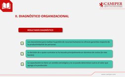 www.camiper.com
II. DIAGNÓSTICO ORGANIZACIONAL
RESULTADOS DIAGNÓSTICO
Los mecanismos para realizar la gestión de recursos hum