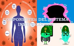 COMPONENTES DEL SISTEMA 
INMUNOLÓGICO
