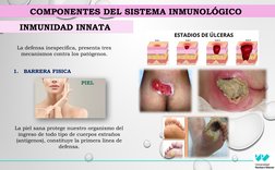 La defensa inespecífica, presenta tres 
mecanismos contra los patógenos.
1.
BARRERA FISICA
La piel sana protege nuestro organ