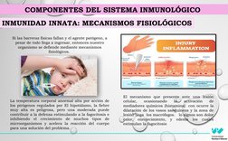 Si las barreras físicas fallan y el agente patógeno, a 
pesar de todo llega a ingresar, entonces nuestro 
organismo se defien