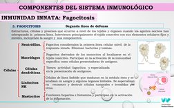 3. FAGOCITOSIS
Segunda línea de defensa
Estructuras, células y procesos que ocurren a nivel de los tejidos y órganos cuando l