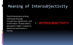 Intersubjectivity in Philosophy Explained | PDF | Neuroscience