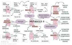 MUTANTES    II
Étienne Geoffroy 
Saint-Hilaire
Experimento
Fallido con 
gallinas
Cristina y 
Rita Parodi
Producto de 
Leyes N
