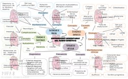 ENFERMEDADES HEREDITARIAS 
DEL TEJIDO CONECTIVO
Osteogénesis 
imperfecta
Hiperlaxitud 
articular
Síndrome de 
Ehler Danlos
En