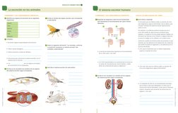 EXPLICA EL MUNDO FÍSICO
La excreción en los animales 
COMPRENDE Y USA CONOCIMIENTOS CIENTÍFICOS______________________________