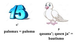 palomax = paloma
qasana’; qasen ja’ =
bautismo
o’
p
