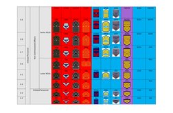 Philippine Uniformed Services Ranks | PDF | Non Commissioned Officer ...