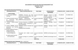 Barangay Taloto DRRM Plan 2022 | PDF | Emergency Management | Safety