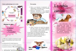 Sintomas                
 
Copiosa salivación (b