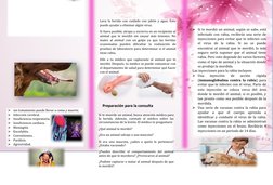 
sin tratamiento puede llevar a coma y muerte. 

Infección cerebral. 

Insuficiencia respiratoria. 

Insuficiencia cardia