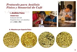 1 .Análisis Físico
1 .Análisis Físico
PRIMER PASO
Evaluación del Café 
Pergamino Seco: se lo identiﬁca 
por su Color y Olor
I