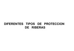  
 
DIFERENTES   TIPOS   DE   PROTECCION 
  DE   RIBERAS
