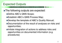 Expected Outputs
The following outputs are expected:
Define ABC’s QMS Scope;
Establish ABC’s QMS Process Map;
Develop the tem