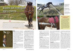 Ecuestre  114
www.ecuestreonline.com
Ecuestre  115
T
rabajo pie a tierra se considera todo 
ejercicio planificado y controlad