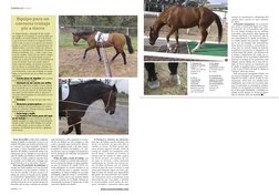 Ecuestre  116
www.ecuestreonline.com
Ecuestre  117
Uso de la tralla: la tralla debe emplearse 
cuando el caballo no responde