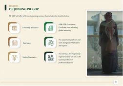 PIF Graduate Development Program 2025 | PDF | Test Of English As A ...