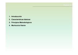 1. Introducción
2. Características básicas
3. Principios Metodológicos
4. Morfociclo Patrón
