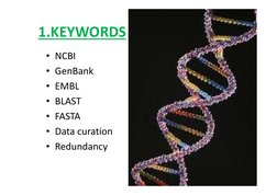 1.KEYWORDS
• NCBI
• GenBank
• EMBL
• BLAST
• BLAST
• FASTA
• Data curation
• Redundancy 
