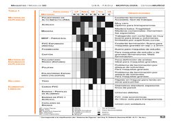 MAQUETAS / MODELOS 3D
4
TABLA 1
MATERIALES
EN PLANCHA
MATERIALES
ESPUMADOS
EN PLANCHA
RELLENO
ELEMENTOS
LINEALES
POLIESTIRENO