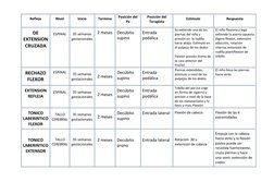 Reflejo 
Nivel  
Inicio 
Termino 
Posición del 
Px 
Posición del 
Terapista 
Estimulo  
Respuesta  
DE 
EXTENSION 
CRUZADA 
E