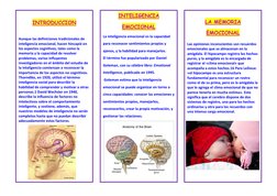 INTRODUCCION 
 
Aunque las definiciones tradiciona