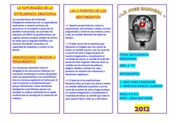 LA NATURALEZA DE LA 
INTELIGENCIA EMOCIONAL 
Las características de la ll