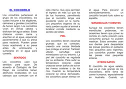 EL COCODRILO
Los  cocodrilos  pertenecen  al
grupo  de  los  crocodílidos,  los
cuales incluyen a los aligátores,
caimanes y