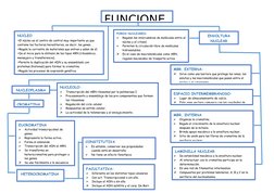 FACULTATIVA:

Diferente en los distintos tipos celulares

Con act. Transcripicional o sin ella.

Incluye el ADN o sin ella