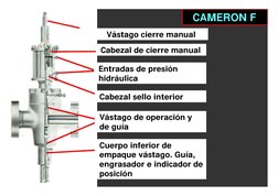 Vástago cierre manual
Cabezal de cierre manual
Entradas de presión 
hidráulica
Cabezal sello interior
Vástago de operación y