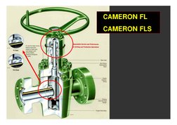 CAMERON FL 
CAMERON FLS
