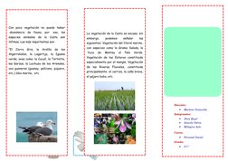 Con  poca  vegetación  no  puede  haber
 abundancia  de  fauna,  por   eso,  las
especies  animales  de  la  Costa  son
ínfim