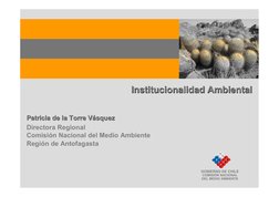 Institucionalidad Ambiental
Institucionalidad Ambiental
Patricia de la Torre V
Patricia de la Torre Váásquez
squez
Directora