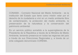 Institucionalidad Ambiental
CONAMA - Comisión Nacional del Medio Ambiente - es la
institución del Estado que tiene como misió