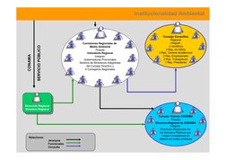 Institucionalidad Ambiental
Dirección Regional
Directora Regional
Dirección Regional
Directora Regional
Consejo Consultivo
Re
