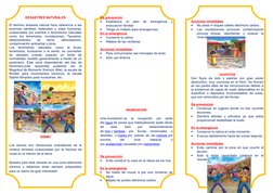 DESASTRES NATURALES
El término desastre natural hace referencia a las
enormes pérdidas materiales y vidas humanas,
ocasionada