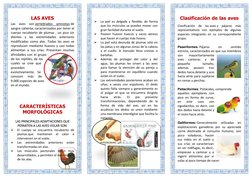 LAS AVES 
Las aves  (https://aves.paradais-sphynx.com/)son vertebrados amniotas  (http://es.wikipedia.org/wiki/Amniota)de