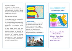 litoral de Sur a Norte. 
✍ Favorece a la fauna marina. 
✍ Esta corriente forma parte de un 
gran movimiento circulatorio que