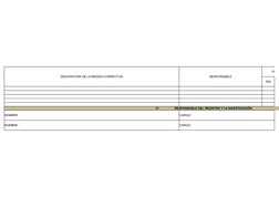 DESCRIPCIÓN DE LA MEDIDA CORRECTIVA
RESPONSABLE
FECH
DÍA
31                   RESPONSABLE DEL REGISTRO Y LA INVESTIGACIÓN
NOM