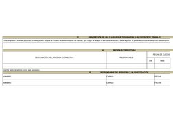 33                   DESCRIPCIÓN DE LAS CAUSAS QUE ORIGINARON EL ACCIDENTE DE TRABAJO
Cada empresa o entidad pública o privad