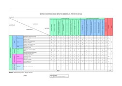 MATRIZ DE IDENTIFICACIÓN DE IMPACTOS AMBIENTALES - PROYECTO SAYHUA
CUADRO N° 07:
FASE DE CONSTRUCCION
FASE DE OPERACIÓN Y MAN