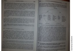 Scanned by CamScanner
