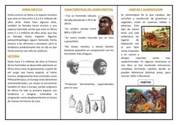 HOMO ERECTUS 
Homo erectus se llama a la especie humana 
que vivió en Asia entre 1.8 y 0.3 millones de 
años atrás. Hasta hac