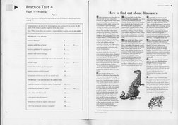 CAE Practice Test 4 | PDF
